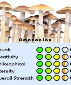 amazonian mushrooms
