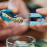 microdosing psilocybin benefits vs. risks guide detail