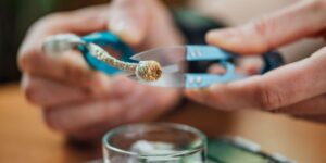 microdosing psilocybin benefits vs. risks guide detail