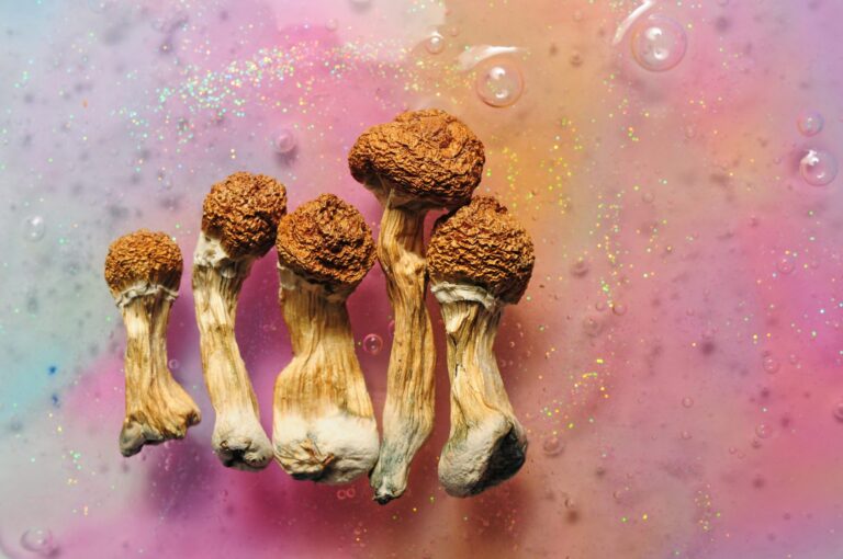 We provide clear, honest, and scientifically accurate information on psychedelics to help you make informed decisions about your wellness journey.