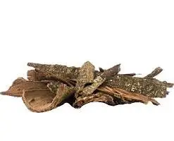 Buy premium Acacia Confusa Root Bark Whole from Taiwan. High-quality botanical material for natural dyeing, research, crafts, and educational applications. Securely packaged.