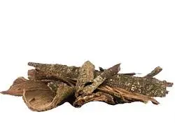 Buy premium Acacia Confusa Root Bark Whole from Taiwan. High-quality botanical material for natural dyeing, research, crafts, and educational applications. Securely packaged.