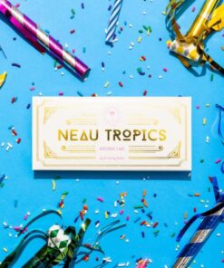 neau tropics chocolate birthday cake.jpg